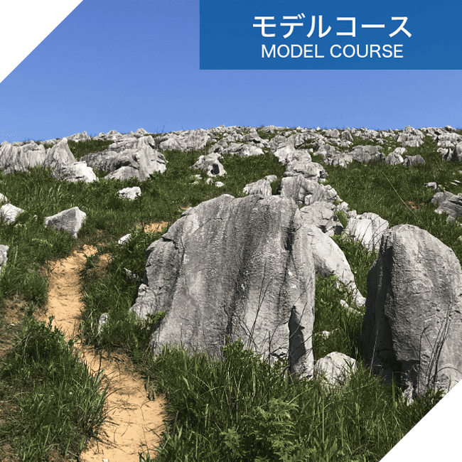 モデルコースイメージ