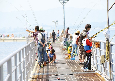 フィッシングパーク光