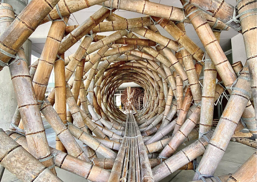 プログラムの画像